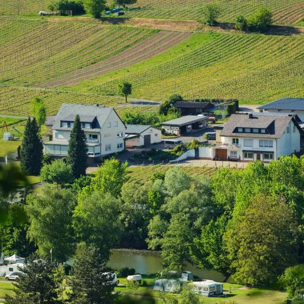 Ferienweingut-Liebfried, Hotel in Nehren