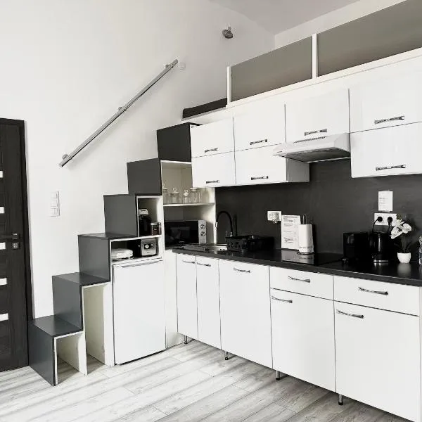 Belvárosi Apartman โรงแรมในมิชโคลซ์