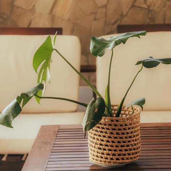 Pipa Panorama Flats&Apartamentos, hotel din Pipa