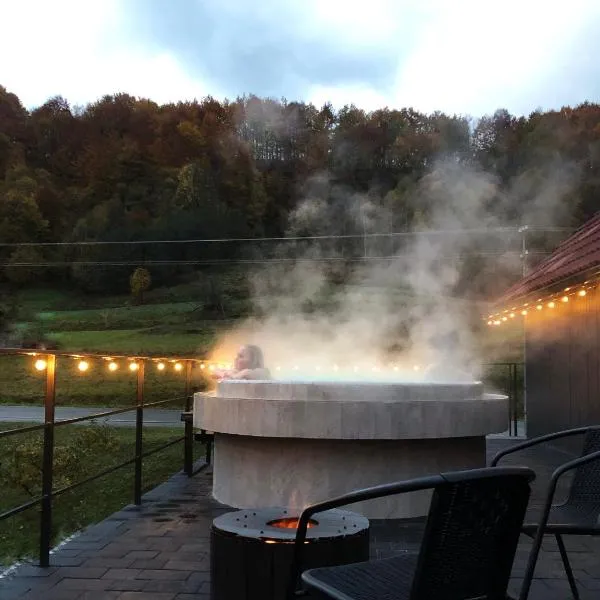 Apartments House Pylypets, Hotel in Pilipets