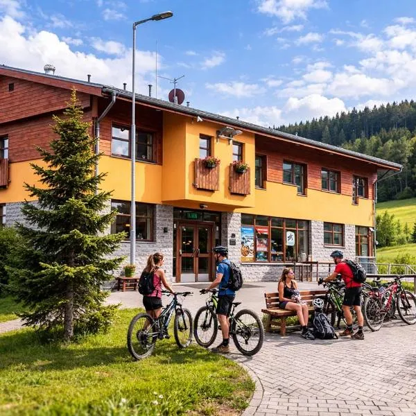 Pension Javorník, готель у місті Jeřmanice