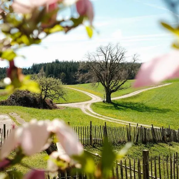 Chiemgauer Landliebe, hotel en Höslwang