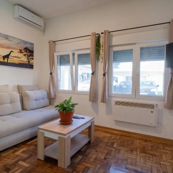 Apartman Vukelic, Hotel in Belgrad