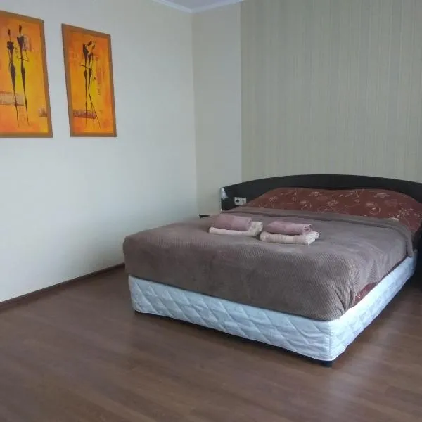 S&M Apartments - Zarichna, hotel in Kyiv
