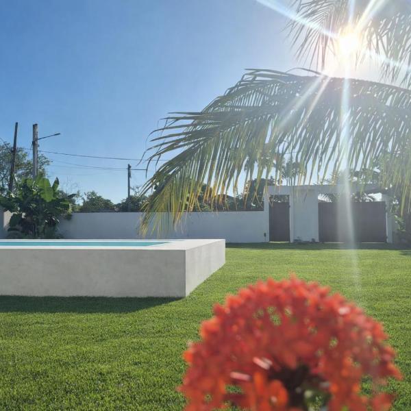 Casa Telhado Inclinado - Foto 2