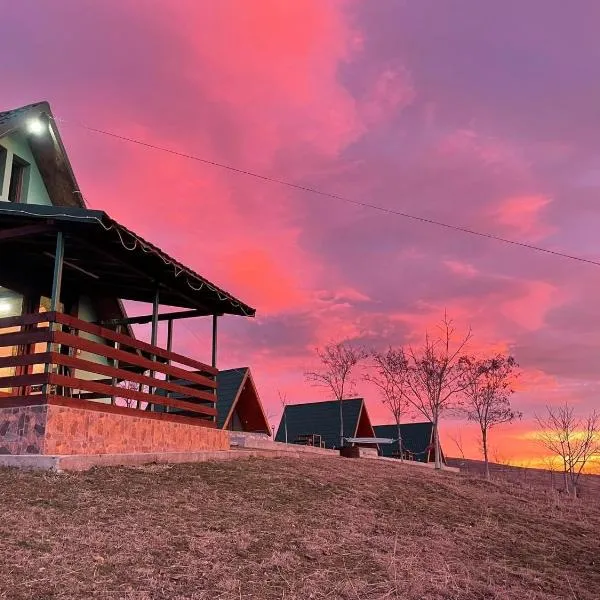 La Nuci, hotel v mestu Valea scheilor