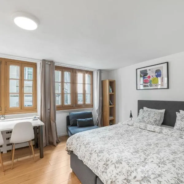 Boël 3 studio, hotel din Geneva