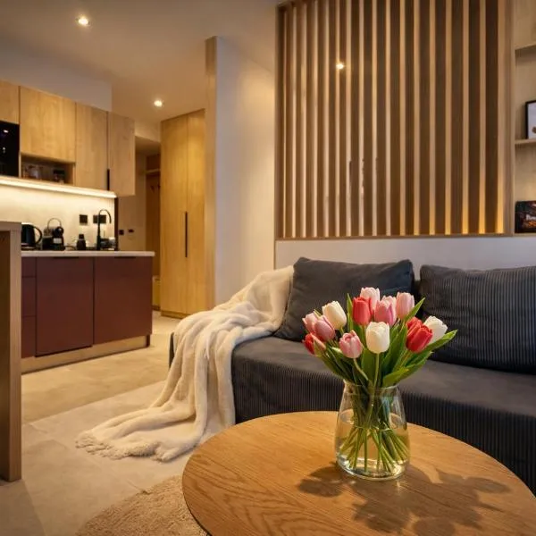 Black Lotus 4 I City Centre I Free Parking l 24hr Access, מלון בבאנסקה ביסטריצה