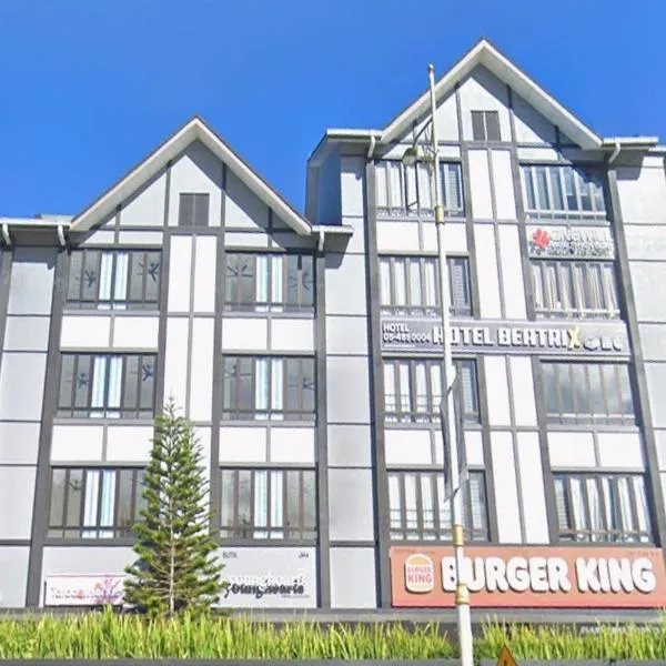 Cameron Green Inn Hotel、ブリンチャンのホテル