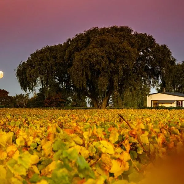 St Leonards Vineyard Cottages, hotel en Blenheim