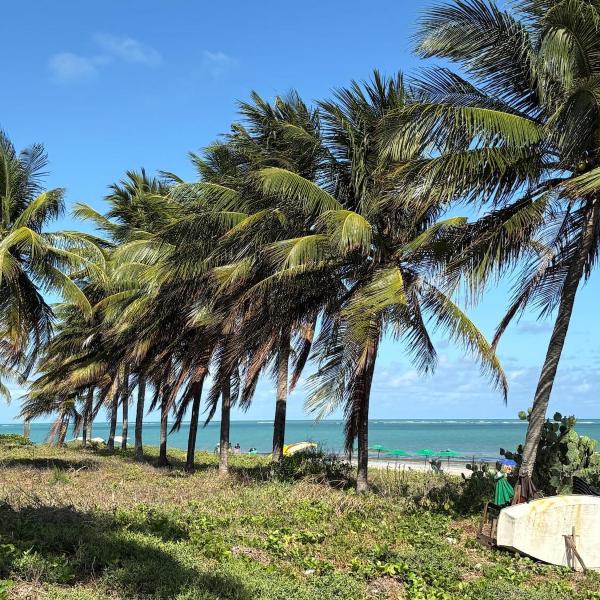 Flat Praia Ponta de Campina
