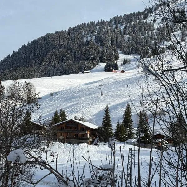 Hôtel Chalet Alpage, hotel u gradu 'La Clusaz'