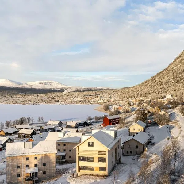 Olen Village - Funäsdalen，弗納斯達倫的飯店