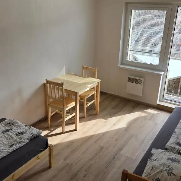 Apartmán Mírová 472 B, hotel u gradu Milovice