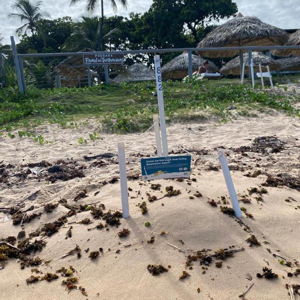 Pousada Farol das Tartarugas - Foto 4