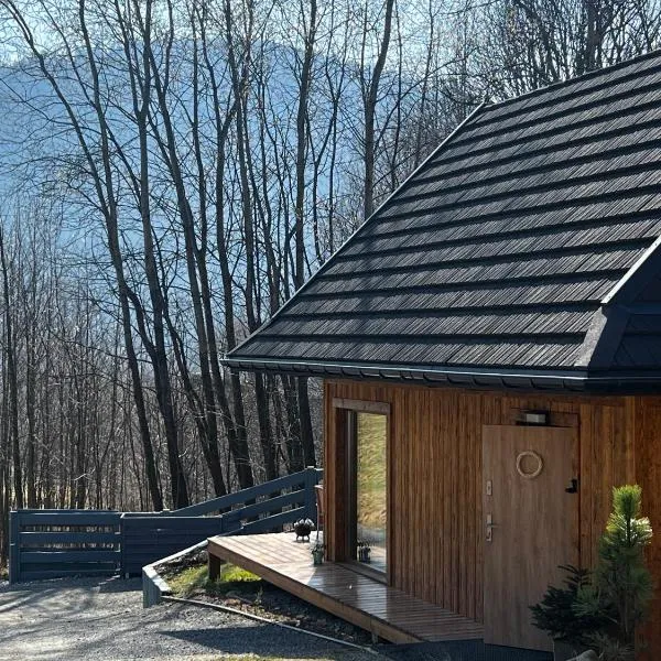 Cichosza domki w Szczyrku, hotell sihtkohas Szczyrk