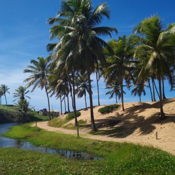 Estrela Antônia - Praia de Santo Antônio - Foto 4