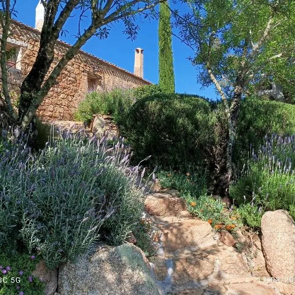 holiday home su Niberalzu, Hotel in Monti