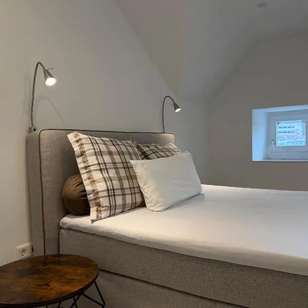 Villa Vaicun - Boutique Rooms – hotel w mieście Lörrach