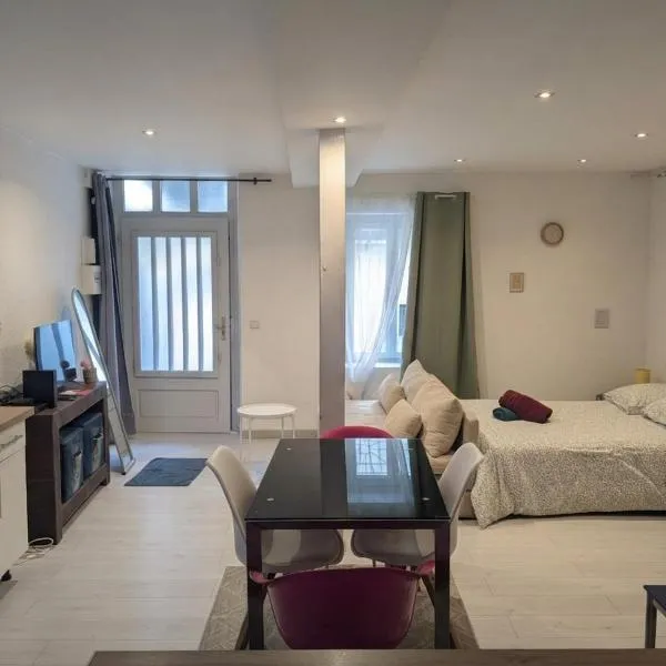 Cosy Camélia - T1 - Hypercentre avec Patio, hotel em Pau