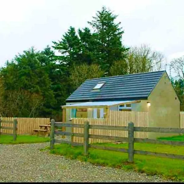 Forest View Cottage - Private Hot Tub, Hotel in Ballynameen