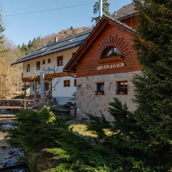 Alpina Čertov, hotel din Lazy pod Makytou