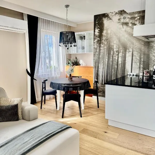 Apartament La Bella klimatyzacja, garaż podziemny, Fv, hotelli kohteessa Suwałki