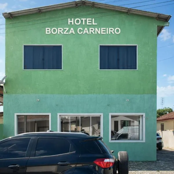 Hotel Borza Carneiro, hotel i Piraí do Sul