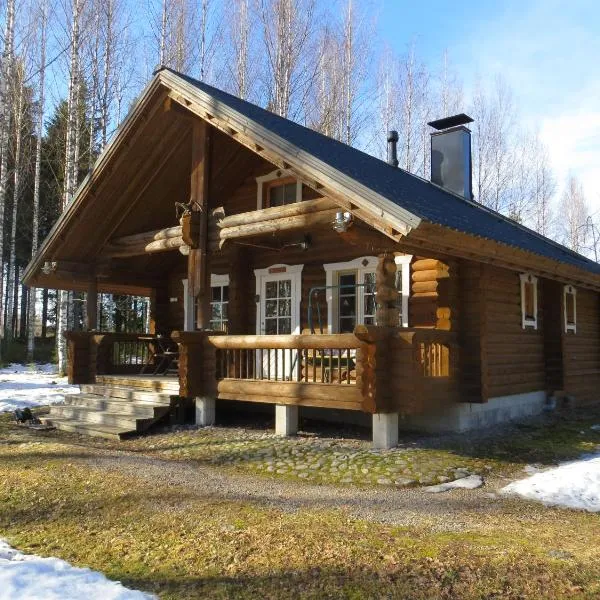 Cottage-karaoke Koivikko, hotel en Äänekoski