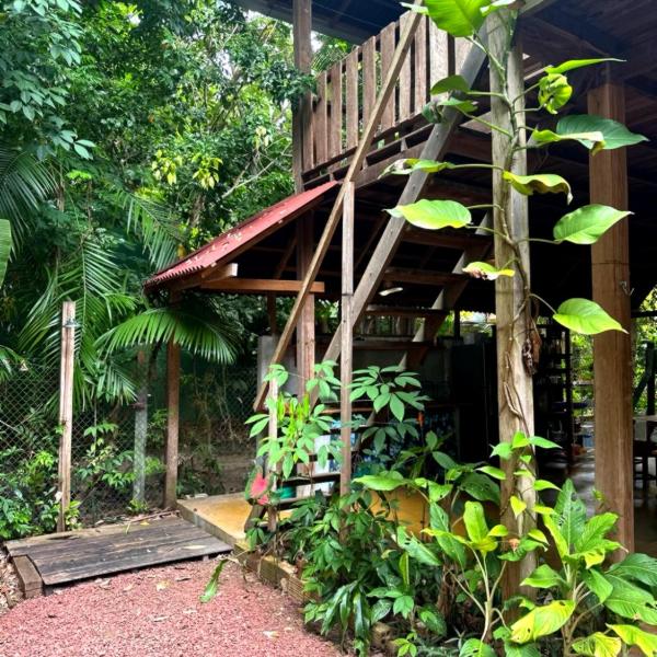 Cabana Lago Verde, Alter do Chão, 50 passos da praia - Foto 5