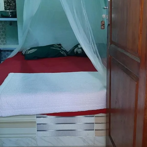 Dendi guest house & orang utan explore, хотел в Букит Лаванг