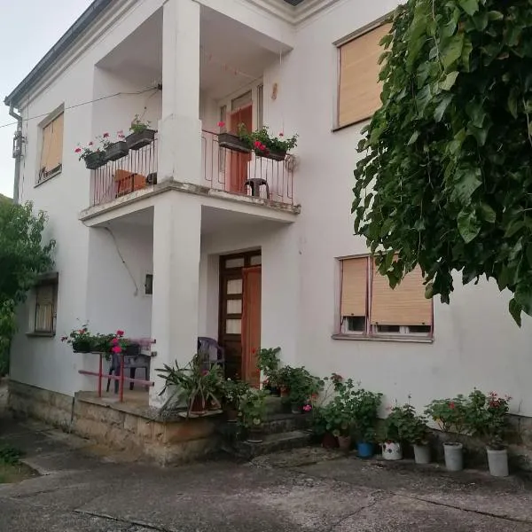 Kuca za odmor Marina Jelenkovic, hotel i Knjazevac.