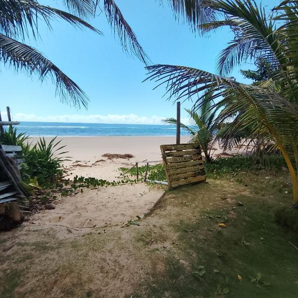 Cottons reef - Vista para Mar - Foto 5