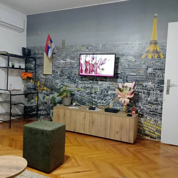 Apartman Petra, hotel v destinaci Leskovac