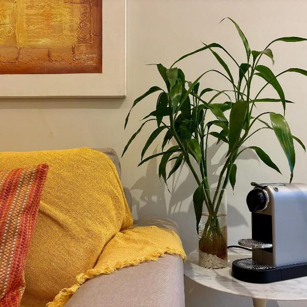 Charmoso apartamento em Ipanema a 150m da praia com Vista para o Verde, Cama King-Size, TV 60 e Lava e Seca - Foto 5