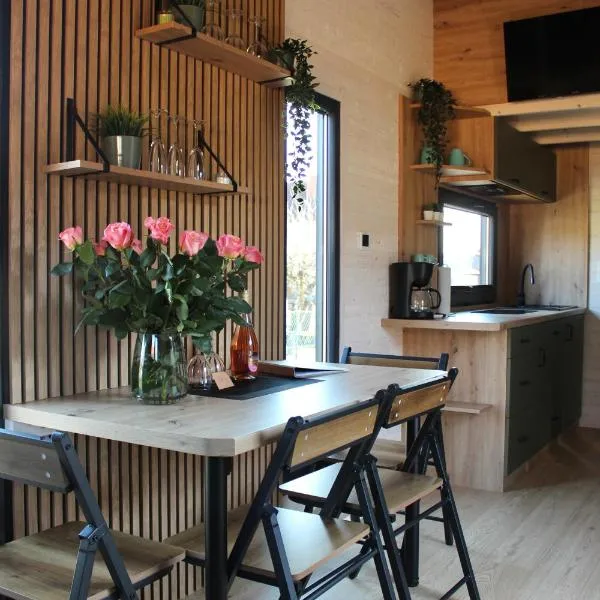 KE-Tiny-Siedlung mit Sauna Haus Buddy, Hotel in Oerlenbach