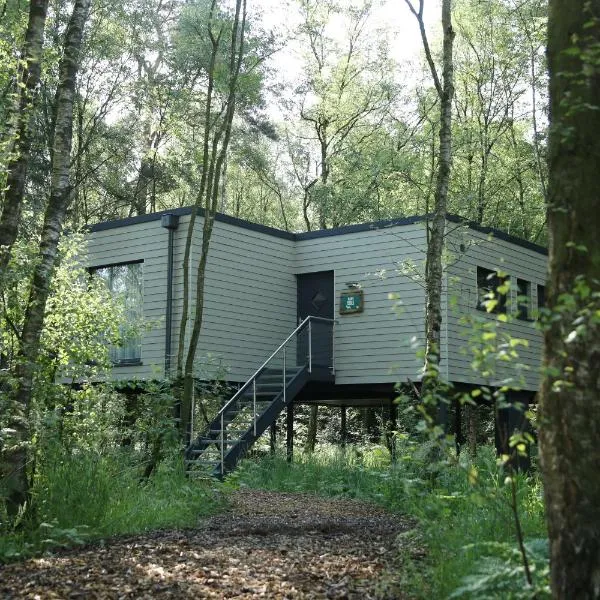 Wagenfeld में, होटल Tierpark Entdeckerhäuser