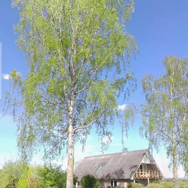 Tåning Bnb, hotel i Skanderborg