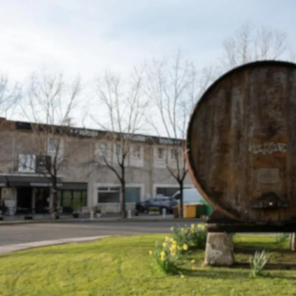 Pension y Apartamentos Tx Experience, hotel in Astigarraga