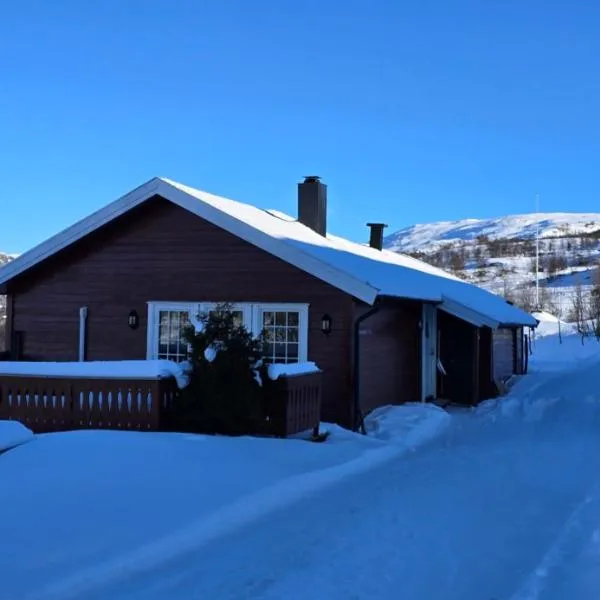 Viesnīca Fjellheimens Svanebu pilsētā Tyinkrysset
