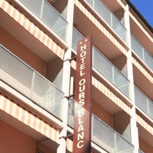 Hotel Ours Blanc - Victor Hugo, отель в Тулузе