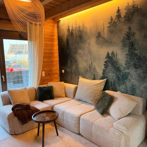 Sohana Chalet I Design I Apartment and Guest Rooms I Sauna I AC, Hotel in Kappel-Grafenhausen