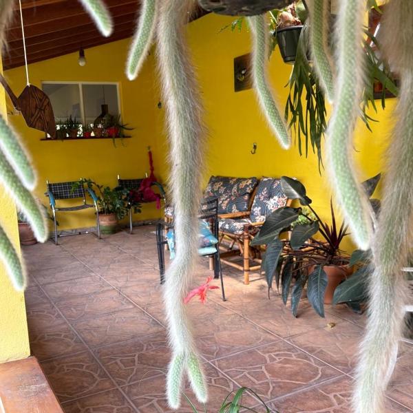Casa prato de cerejas