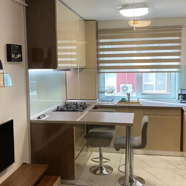 Apartament modern -with Free Parking, Hotel in Chiajna