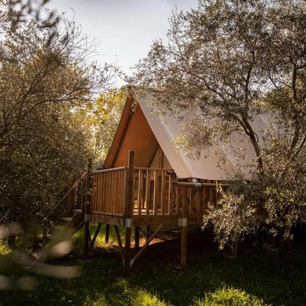 Glamping Il Bosco di Marino, hotel San Pietro di Felettóban
