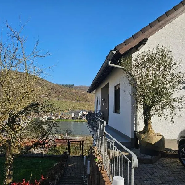 MV Römerlodge mit einmaligem Moselpanoramablick, Hotel in Treis-Karden