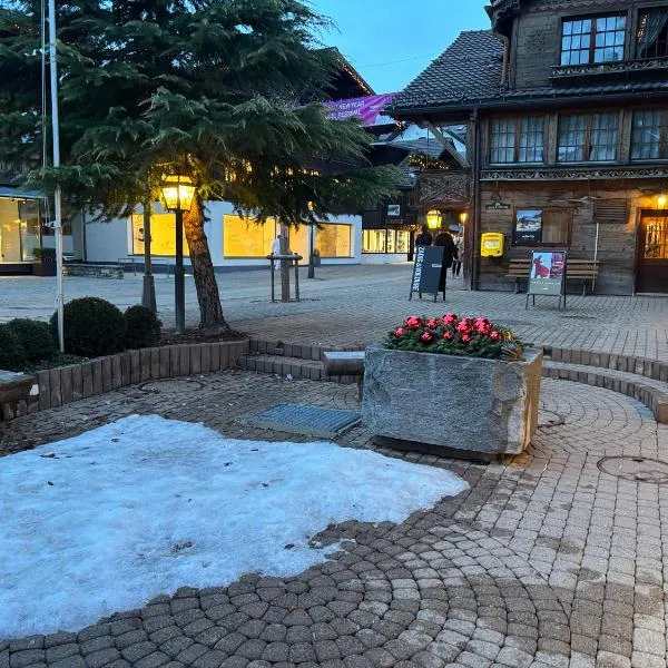 Le Vieux Chalet – hotel w mieście Gstaad