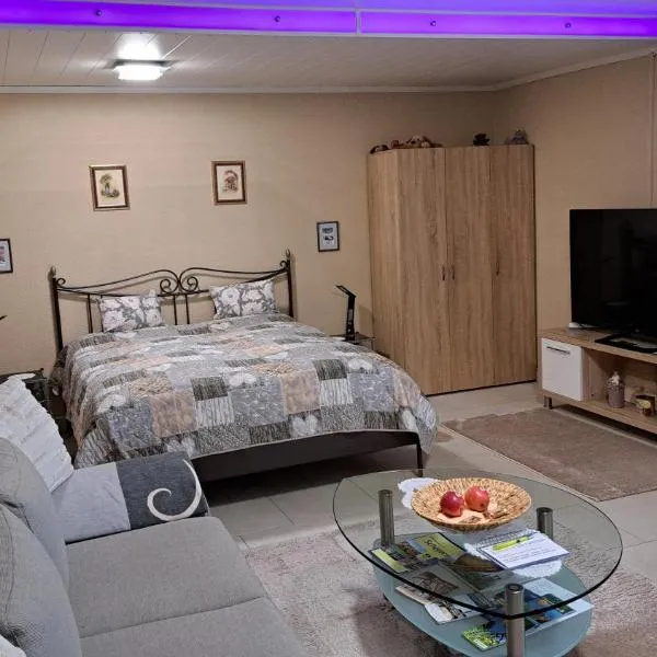 Apartment Curly, hotel a Scheyern