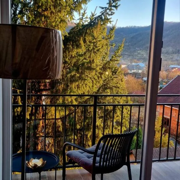 Solovan Hill, hotel a Sighetu Marmaţiei