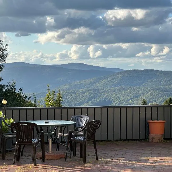 Moderne Apartments im Bayerischen Wald mit Bergblick, Balkon & großer Terrasse, hotel em Schöfweg